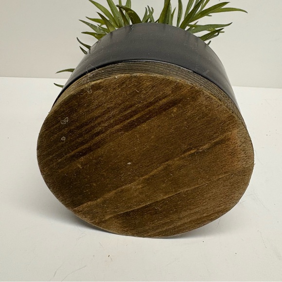 Threshold Potted Faux Succulent Plant Indoor Plant Porch Decor - Picture 7 of 7